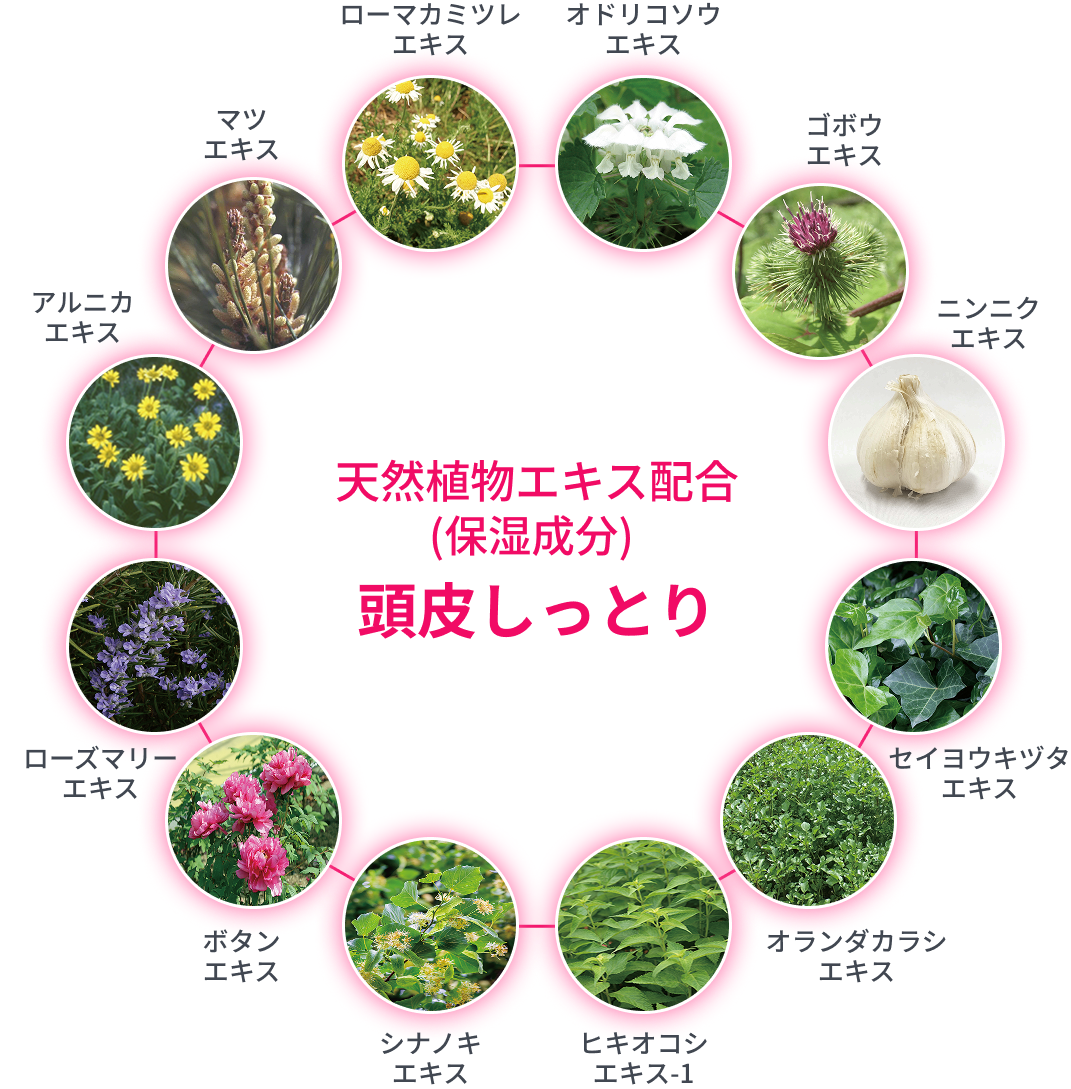頭皮のうるおいにつながる保湿天然植物