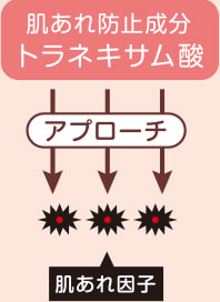 肌あれ防止成分トラネキサム酸