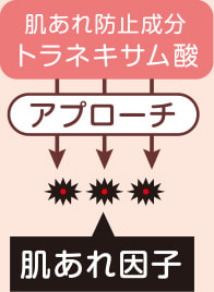 肌あれ防止成分トラネキサム酸