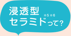 浸透型セラミドって?