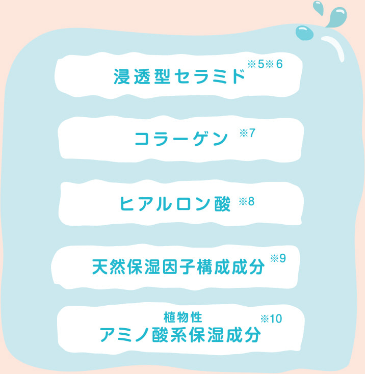 浸透型セラミド、コラーゲン、ヒアルロン酸、天然保温因子構成成分、植物性アミノ酸系保湿成分