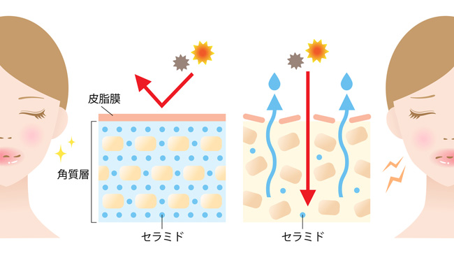 肌のバリア機能